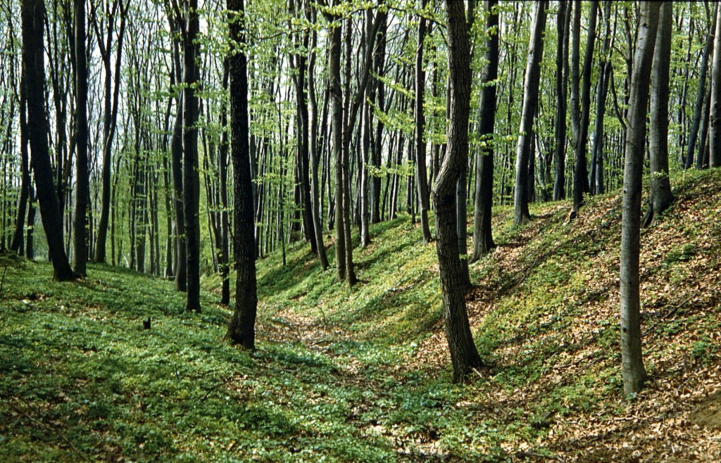 Фрагмент земляного валу на передмісті