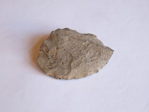 a_DSCF2097